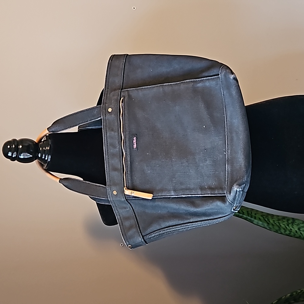Aritzia Talula/Babaton Canvas Tote
